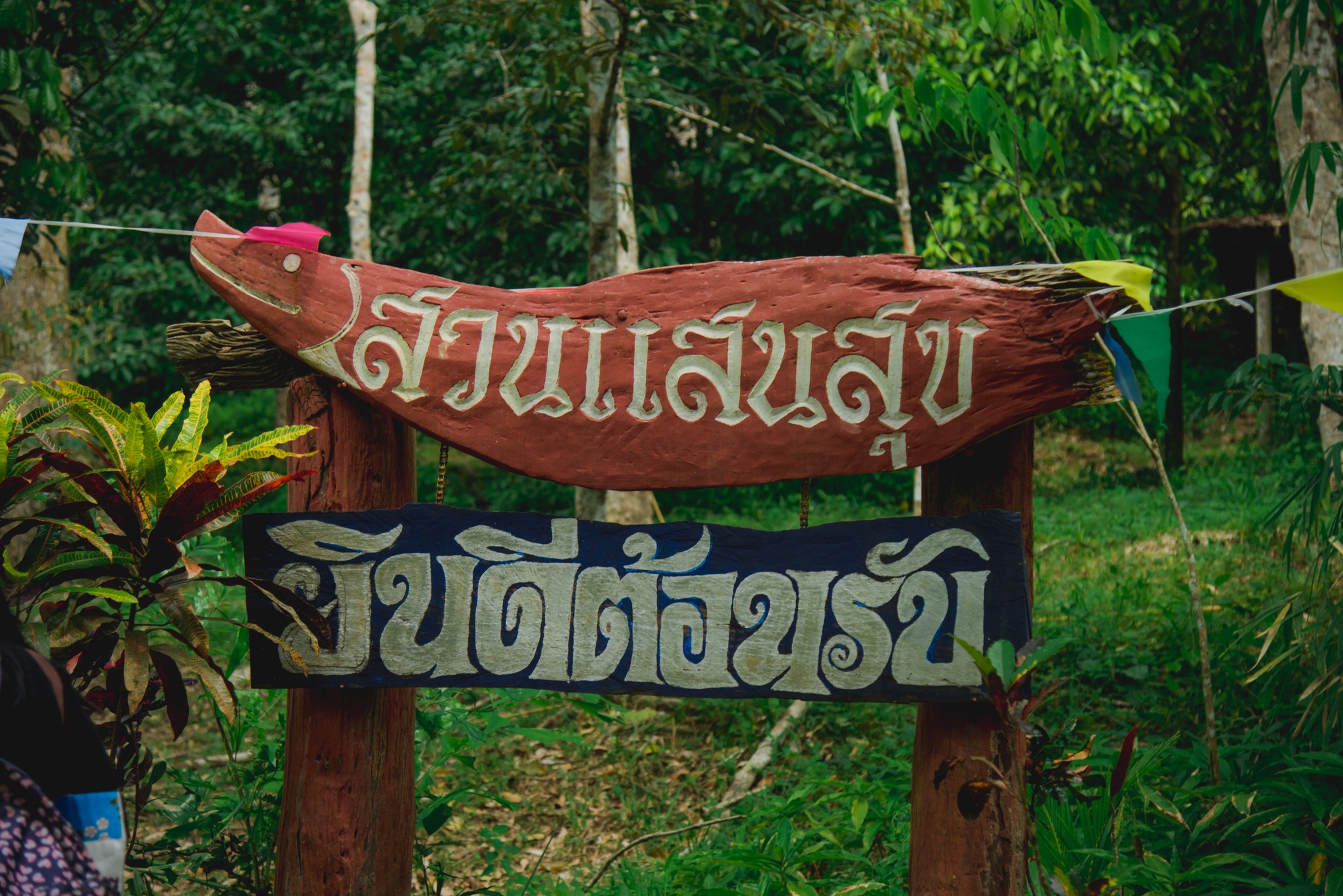 "สวนแสนสุข"