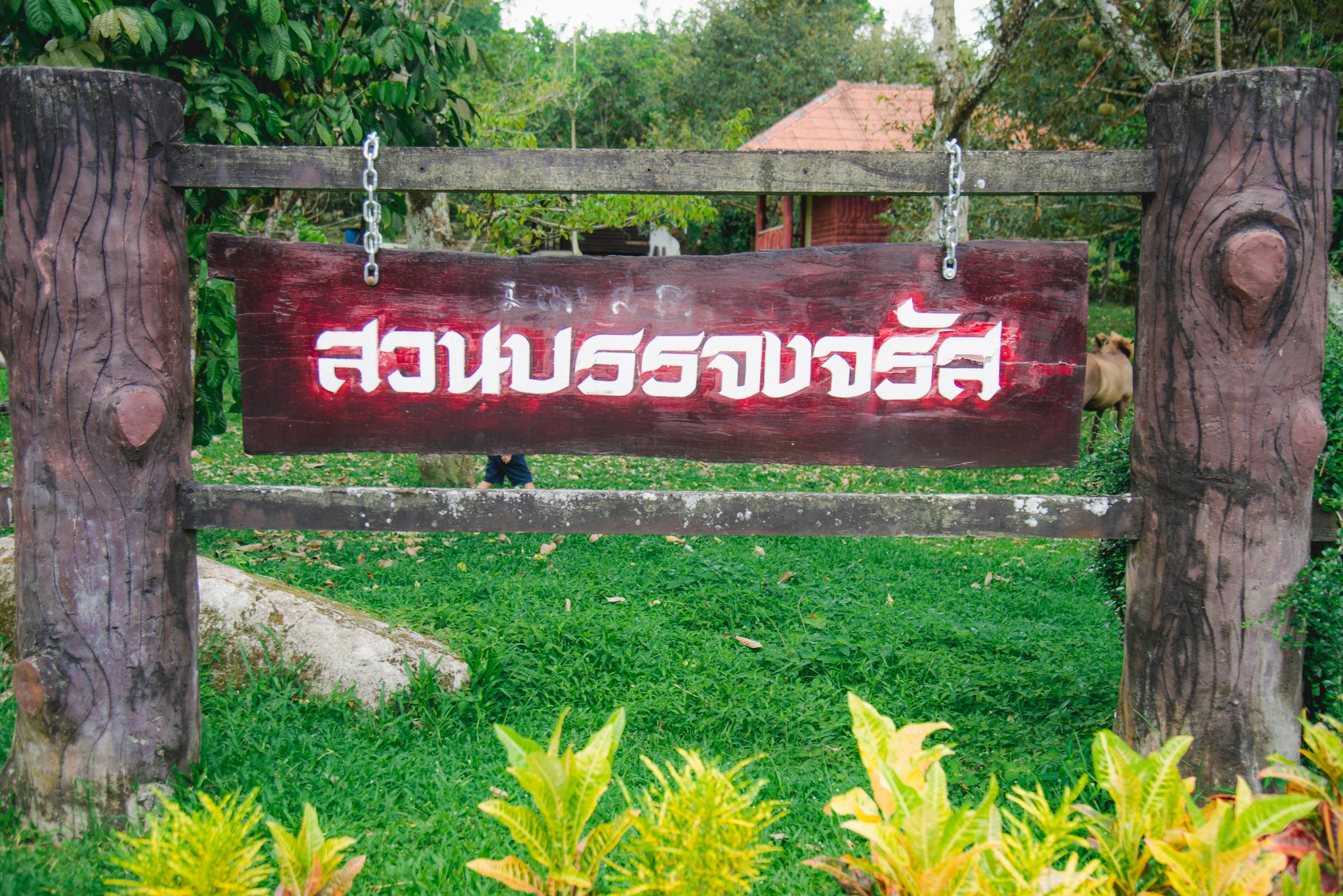 "สวนบรรจงจรัส"